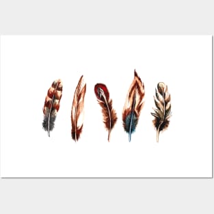 Set Feather Watercolor Posters and Art